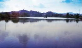 汨罗江新闻爆料,揭秘当地热点事件背后的真相